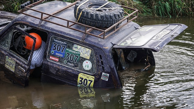 鸟与韦世豪 鸟与韦世豪
