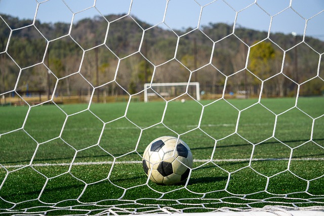 自己的稳定 自己的稳定