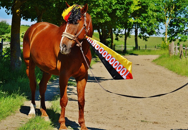 当前的阿马 当前的阿马