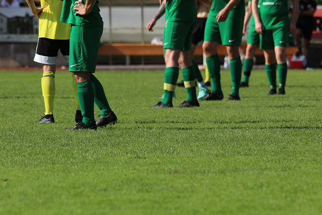 结合东契奇 结合东契奇