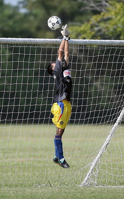 与瓜帅媲美 与瓜帅媲美