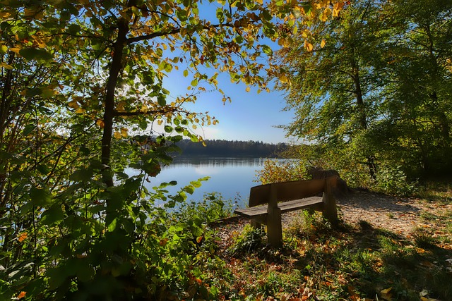 比赛中紧密 比赛中紧密